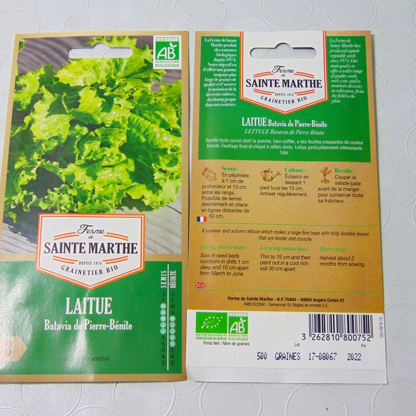 Beispiel eines Exemplars von Bataviasalat Pierre Bénite Bio - Ferme de Sainte Marthe die Tüte mit 500 Samen (3g) wie geliefert