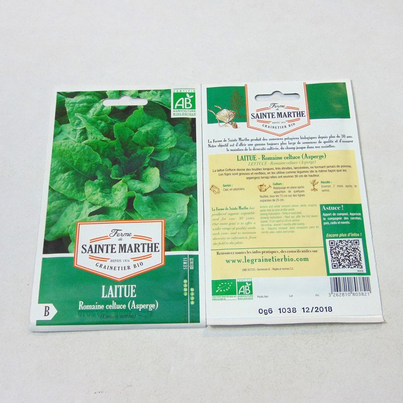Beispiel eines Exemplars von Spargelsalat angustana Bio - Ferme de Sainte Marthe die Tüte mit 400 Samen wie geliefert