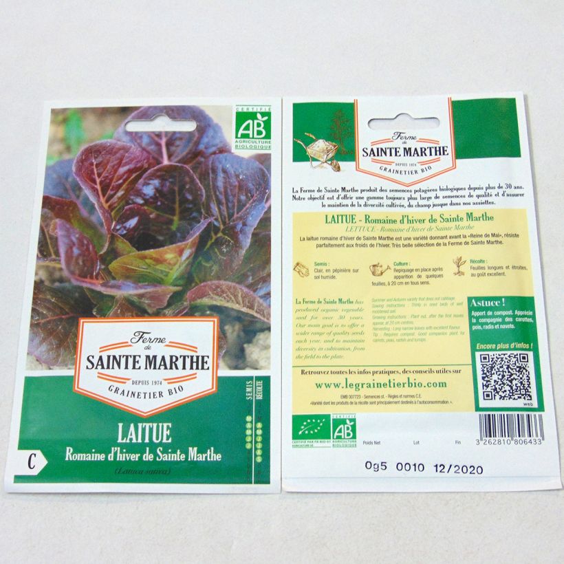 Beispiel eines Exemplars von Römersalat Romaine d'Hiver de Sainte-Marthe Bio die Tüte mit 350 Samen wie geliefert