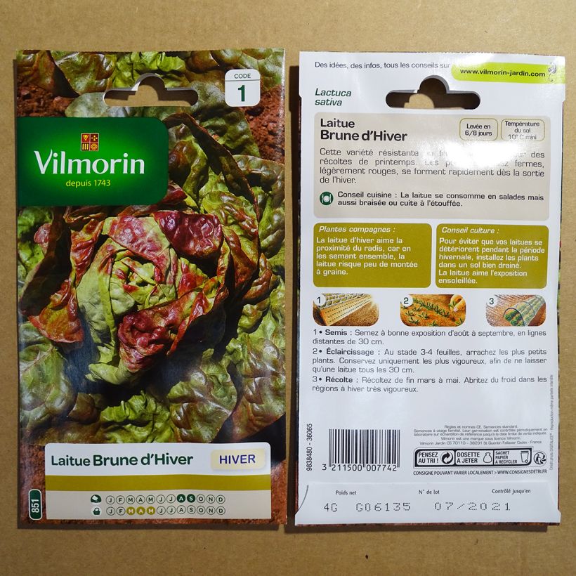 Beispiel eines Exemplars von Winterkopfsalat Brune d'Hiver (Brauner Winter) - Vilmorin die Tüte mit 3200 Samen (4g) wie geliefert