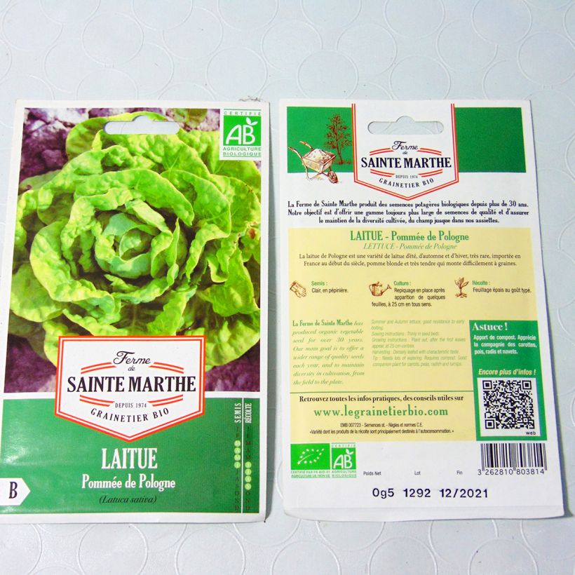 Beispiel eines Exemplars von Kopfsalat de Pologne Bio - Ferme de Sainte Marthe die Tüte mit 500 Samen wie geliefert