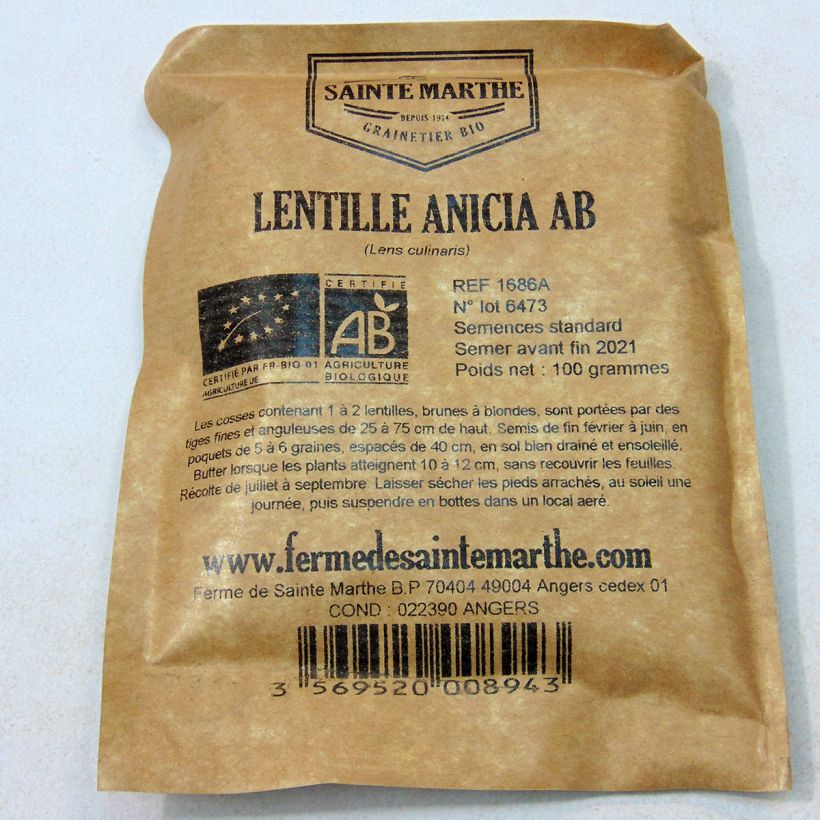 Beispiel eines Exemplars von Linse Anicia - Lens culinaris die Tüte mit Samen von 80 Gramm wie geliefert