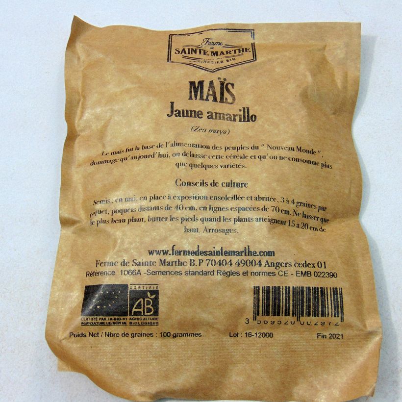 Beispiel eines Exemplars von Mais Amarillo die Tüte mit 50 Samen (100g) wie geliefert
