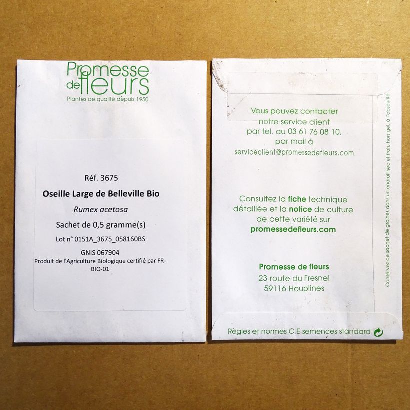 Beispiel eines Exemplars von Ampfer De Belleville - Rumex acetosa die Tüte mit 500 Samen (0.5g) wie geliefert