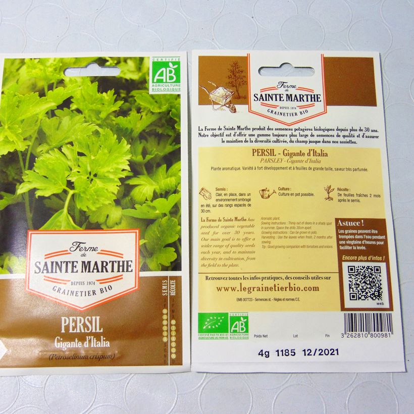 Beispiel eines Exemplars von Garten-Petersilie Géant d'Italie Bio - Ferme de Sainte Marthe die Tüte mit 1700 Samen (4g) wie geliefert