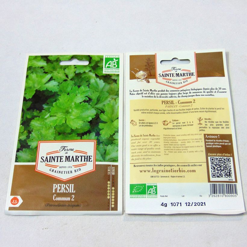 Beispiel eines Exemplars von Garten-Petersilie Bio - Ferme de Sainte Marthe - Petroselinum crispum die Tüte mit 1700 Samen (4g) wie geliefert