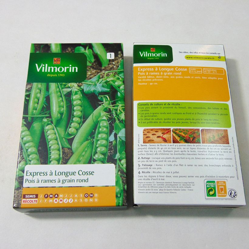 Beispiel eines Exemplars von Riesige Erbse Express - Vilmorin die Tüte mit 400 Samen (200g) wie geliefert