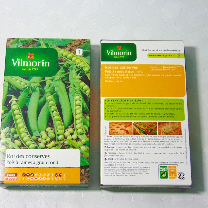 Beispiel eines Exemplars von Riesige Erbse Roi des conserves - Vilmorin die Tüte mit 600 Samen (200g) wie geliefert