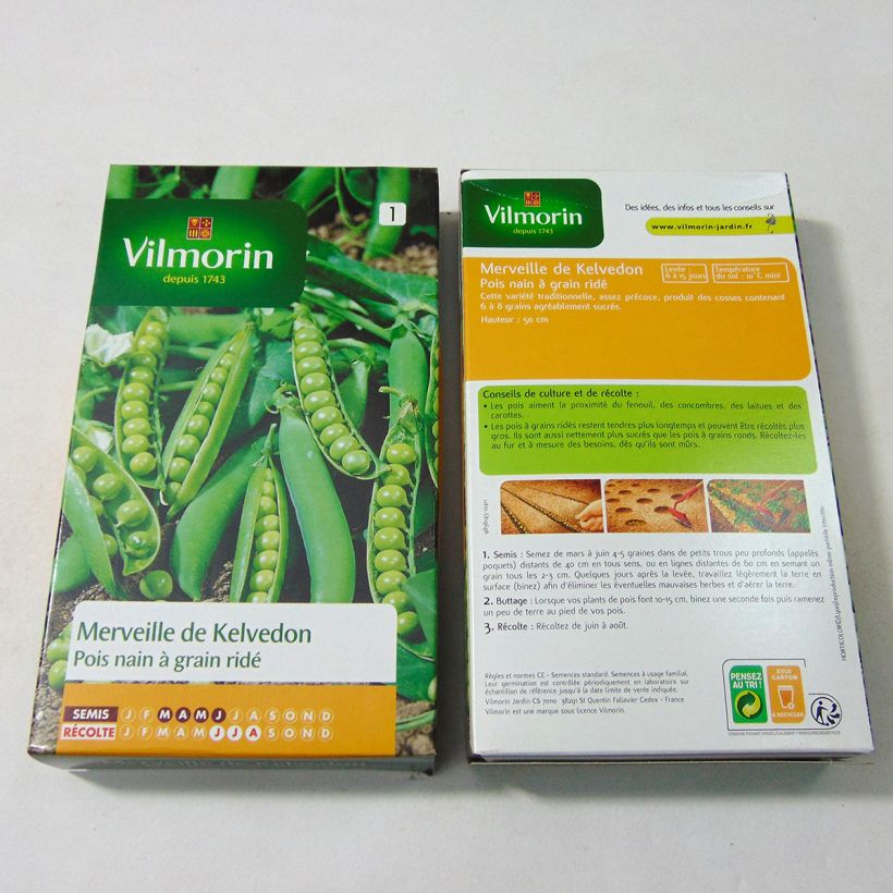 Beispiel eines Exemplars von Zwergerbse Merveille de Kelvedon - Vilmorin die Tüte mit 750 Samen (250g) wie geliefert
