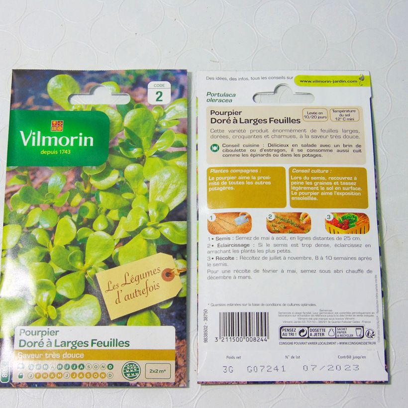 Beispiel eines Exemplars von Portulak Gelber Portulak - Vilmorin - Portulaca oleracea die Tüte mit 7500 Samen (3g) wie geliefert