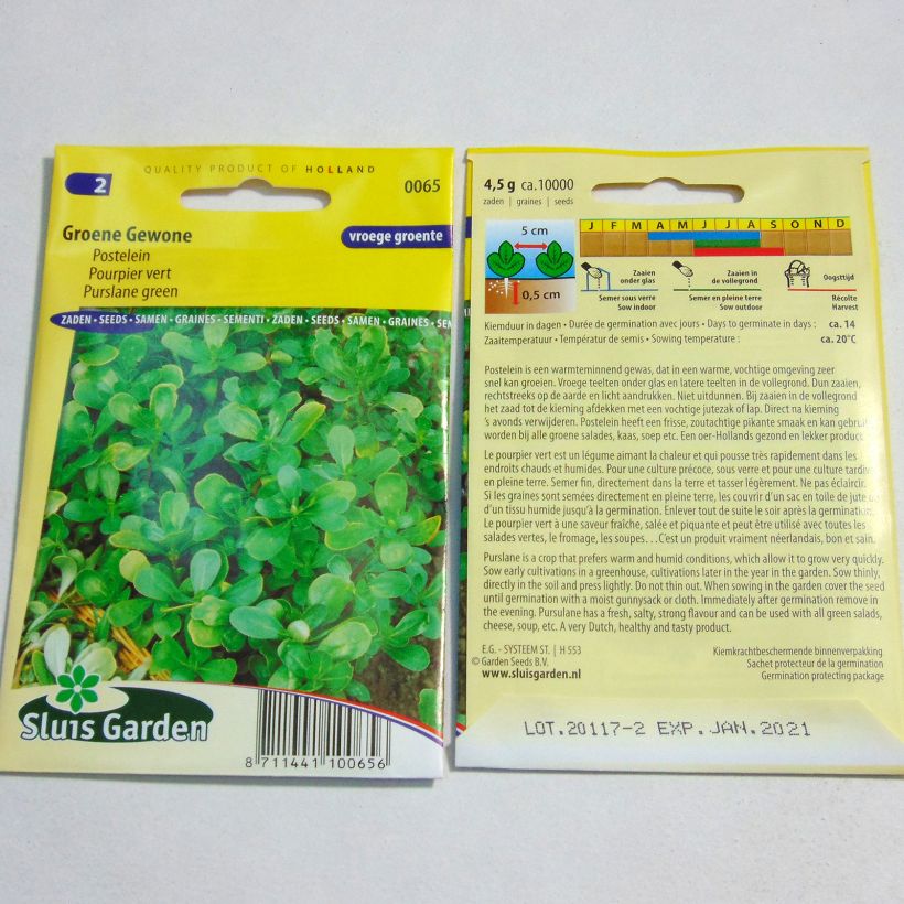 Beispiel eines Exemplars von Portulak Grüner - Portulaca oleracea die Tüte mit 10000 Samen (4g) wie geliefert