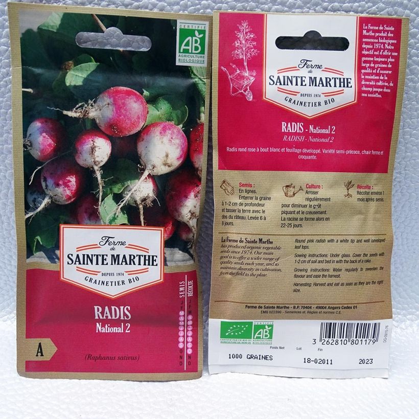 Beispiel eines Exemplars von Radieschen rond rose à bout blanc 2 Bio die Tüte mit 1000 Samen (8g) wie geliefert