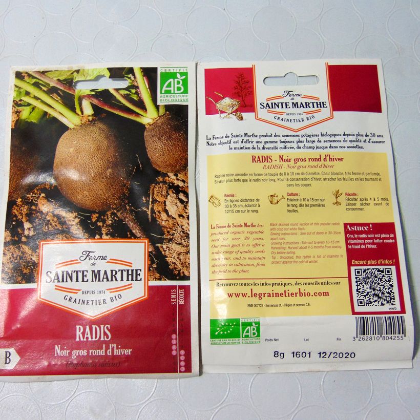 Beispiel eines Exemplars von Rettich Noir Gros Long d'Hiver Bio die Tüte mit 1000 Samen (8g) wie geliefert