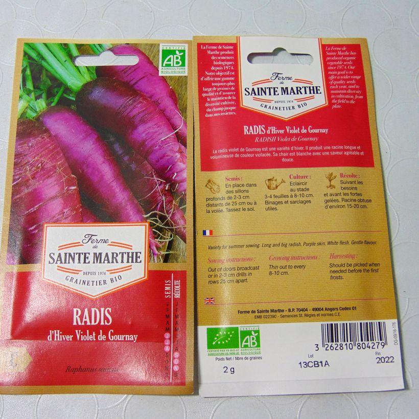 Beispiel eines Exemplars von Rettich Violet de Gournay Bio die Tüte mit 160 Samen (2g) wie geliefert