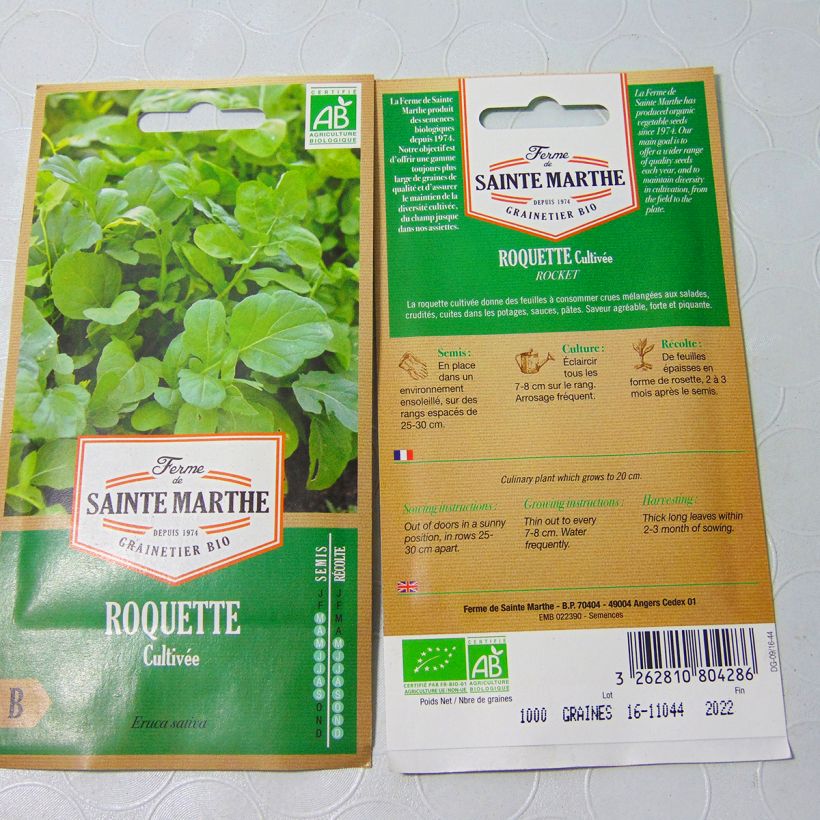 Beispiel eines Exemplars von Salat-Rauke - Eruca sativa Bio die Tüte mit 800 Samen (1g) wie geliefert
