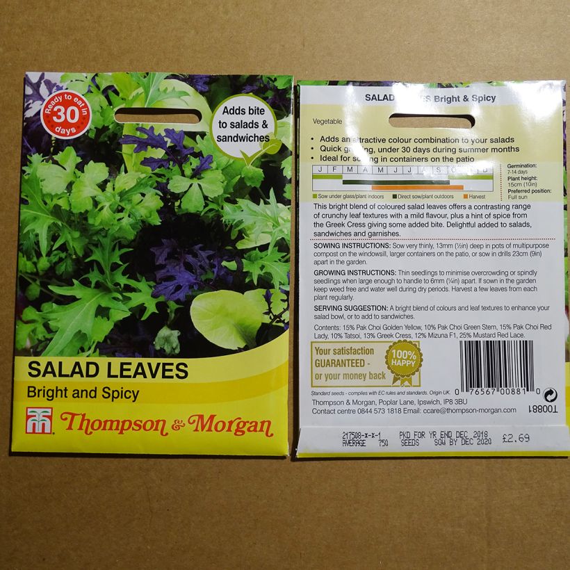 Beispiel eines Exemplars von Mesclun Bright and Spicy die Tüte mit 1000 Samen wie geliefert