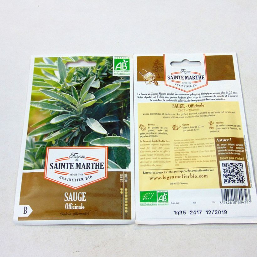 Beispiel eines Exemplars von Echter Salbei - Salvia officinalis B die Tüte mit 150 Samen (1g) wie geliefert