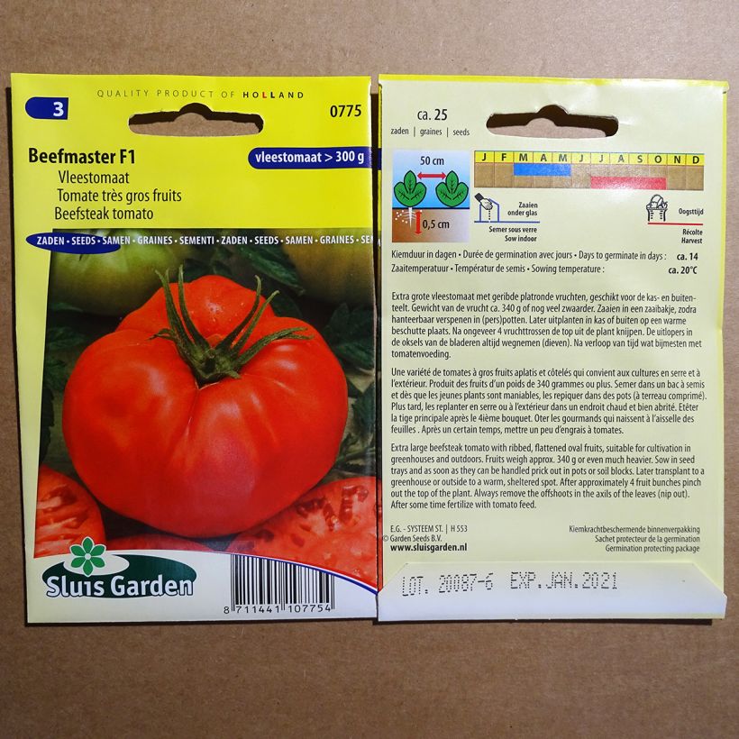 Beispiel eines Exemplars von Tomate Beefmaster F1 die Tüte mit 25 Samen wie geliefert