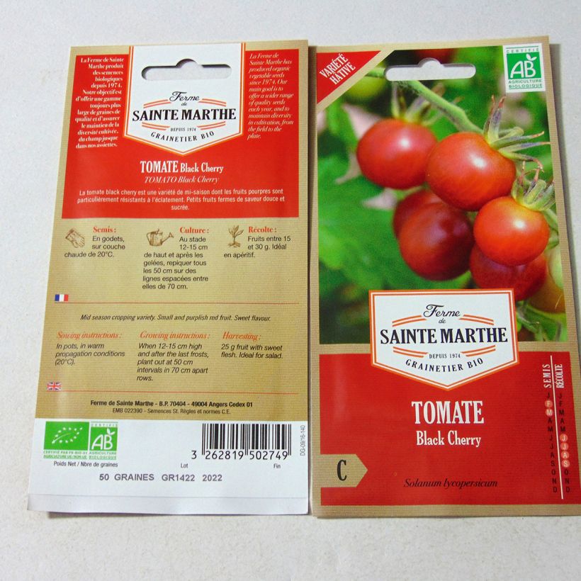 Beispiel eines Exemplars von Kirschtomate Black Cherry Bio die Tüte mit 50 Samen wie geliefert