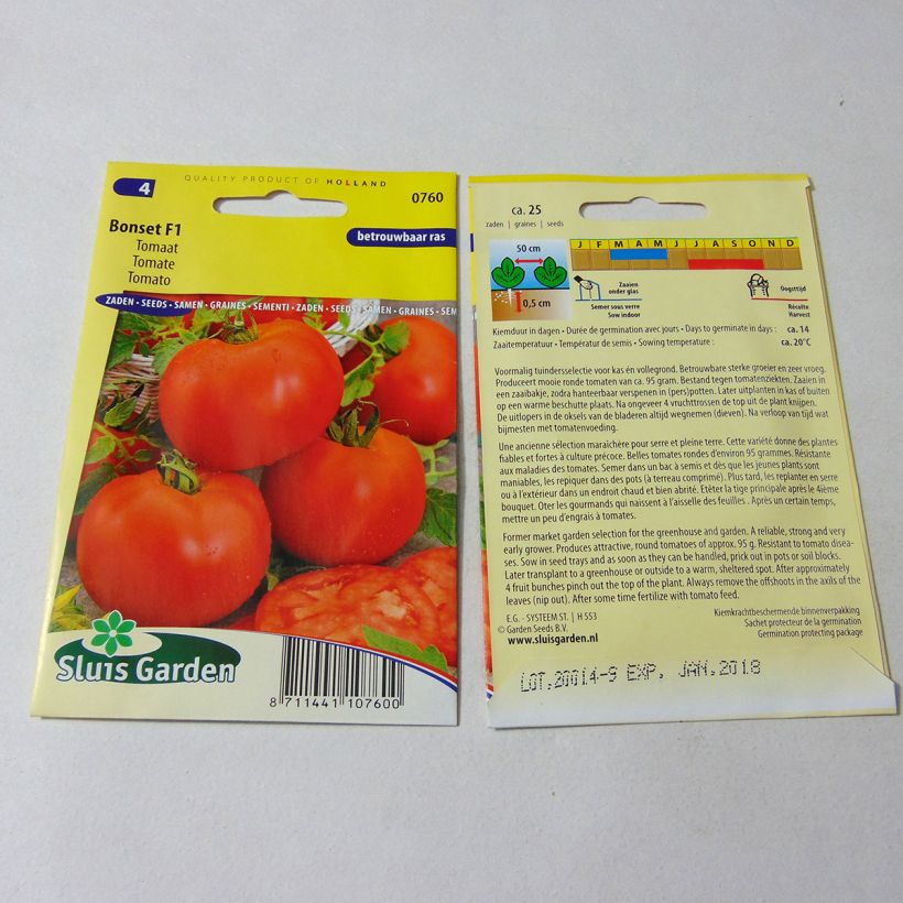 Beispiel eines Exemplars von Tomate Bonset die Tüte mit 25 Samen wie geliefert