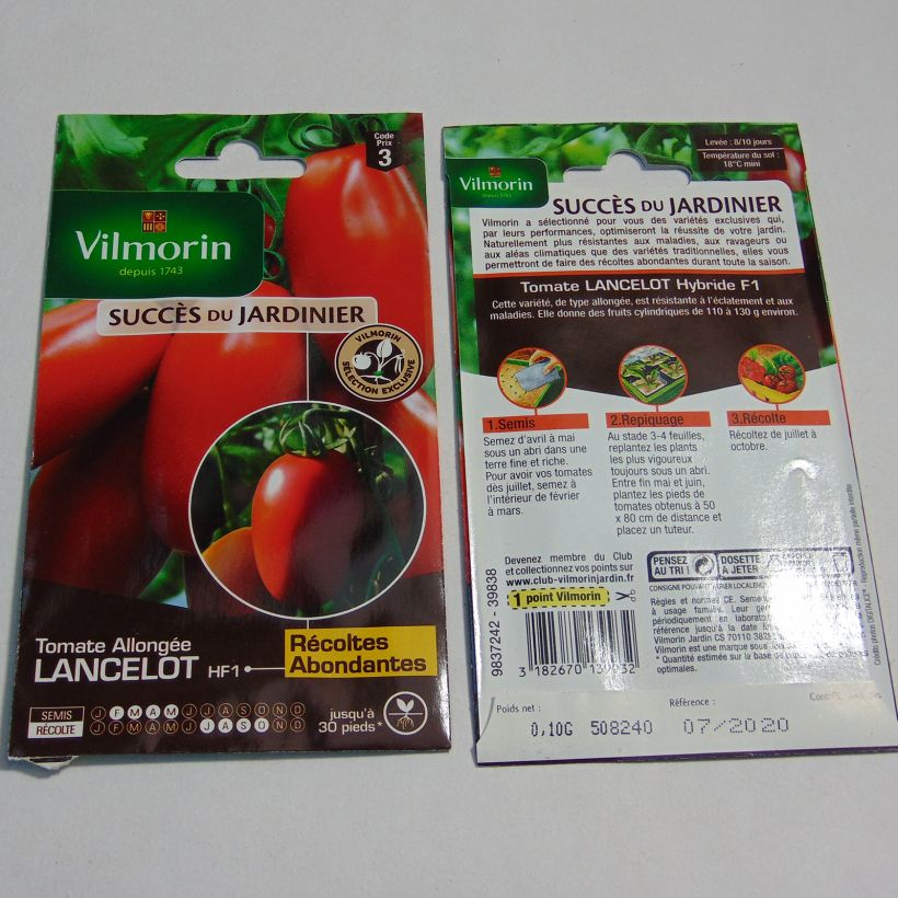 Beispiel eines Exemplars von Tomate Lancelot - Vilmorin die Tüte mit 30 Samen (0.1g) wie geliefert