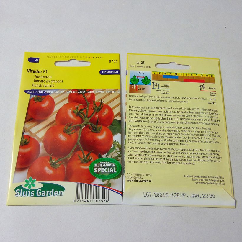 Beispiel eines Exemplars von Tomate Vitador die Tüte mit 25 Samen wie geliefert