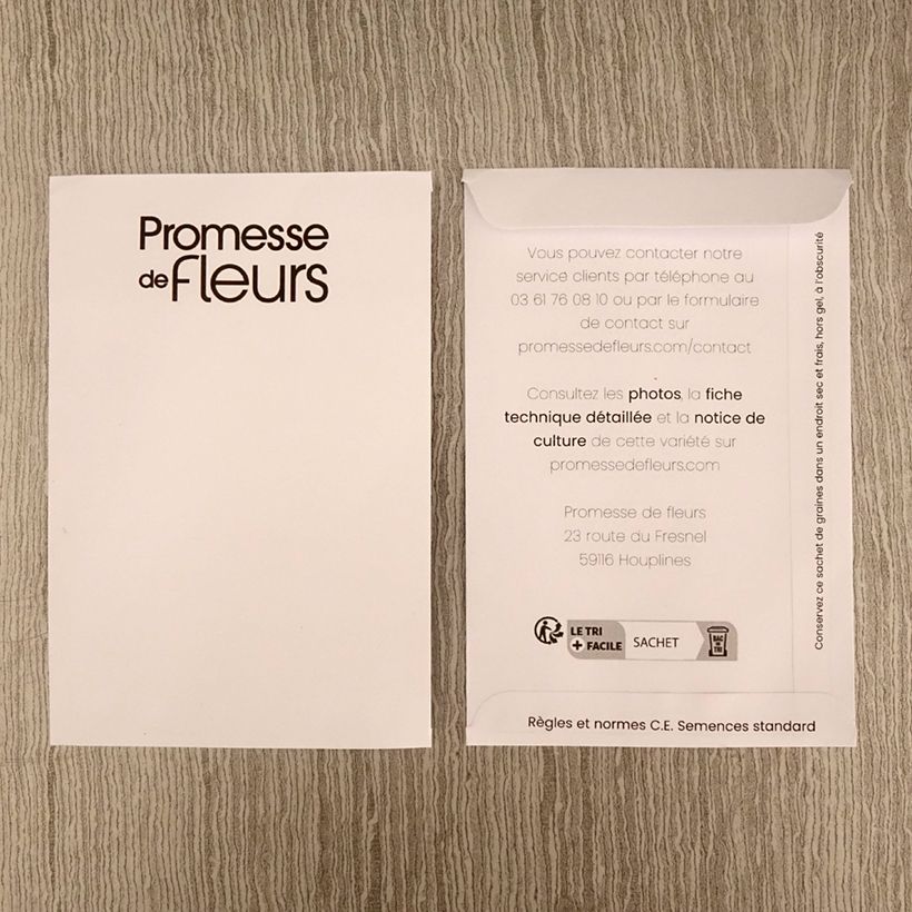 Beispiel eines Exemplars von Studentenblume Orange Flame die Tüte mit 350 Samen (1g) wie geliefert