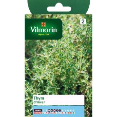Echter Thymian - Vilmorin - Thymus vulgaris