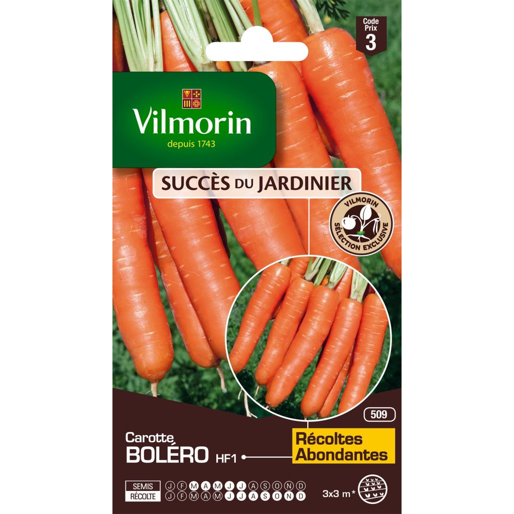 Möhre Bolero