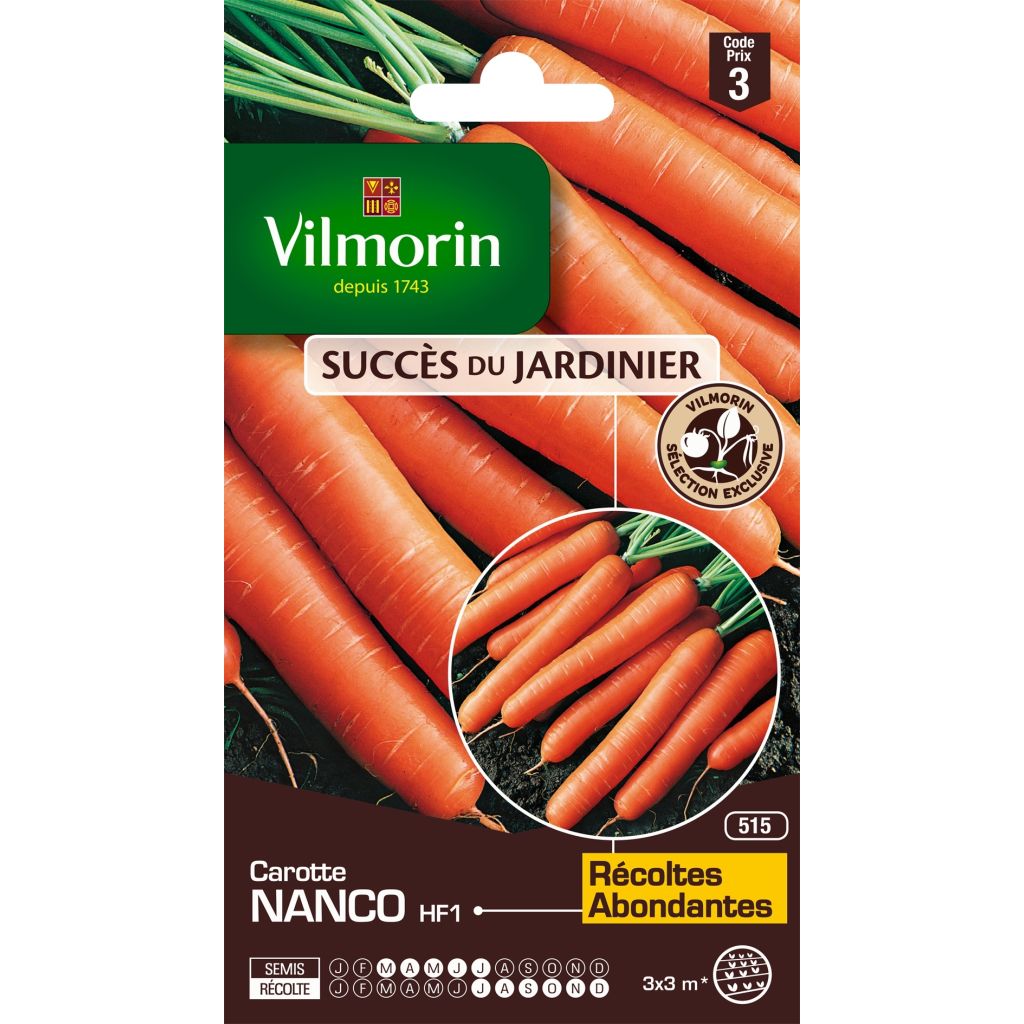 Möhre Nanco