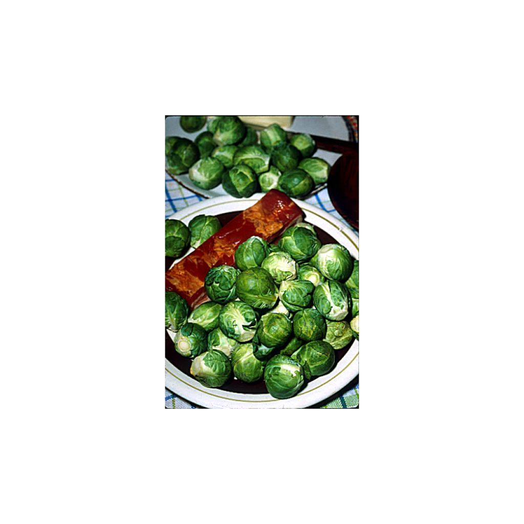 Rosenkohl de Rosny