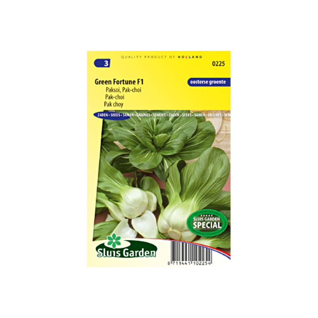 Senfkohl Green Fortune F1