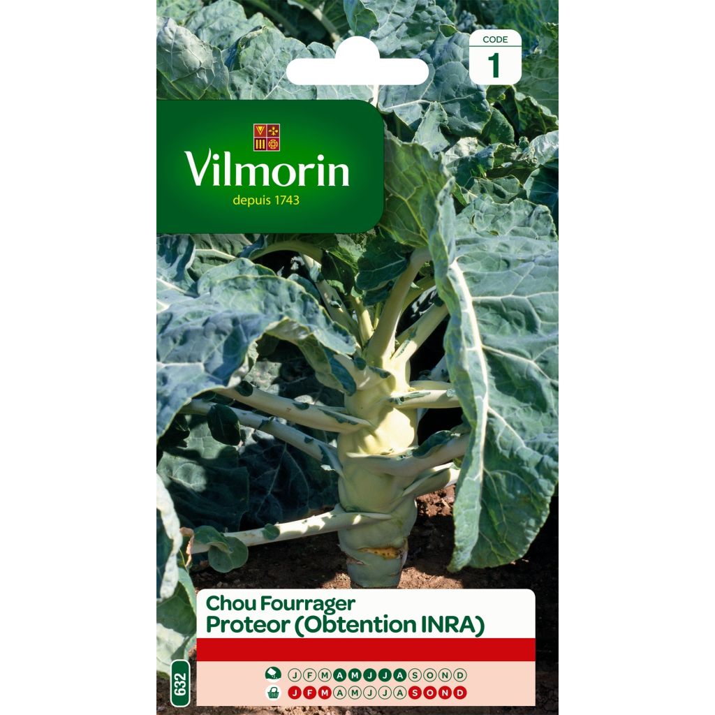 Blattkohl Proteor - Vilmorin