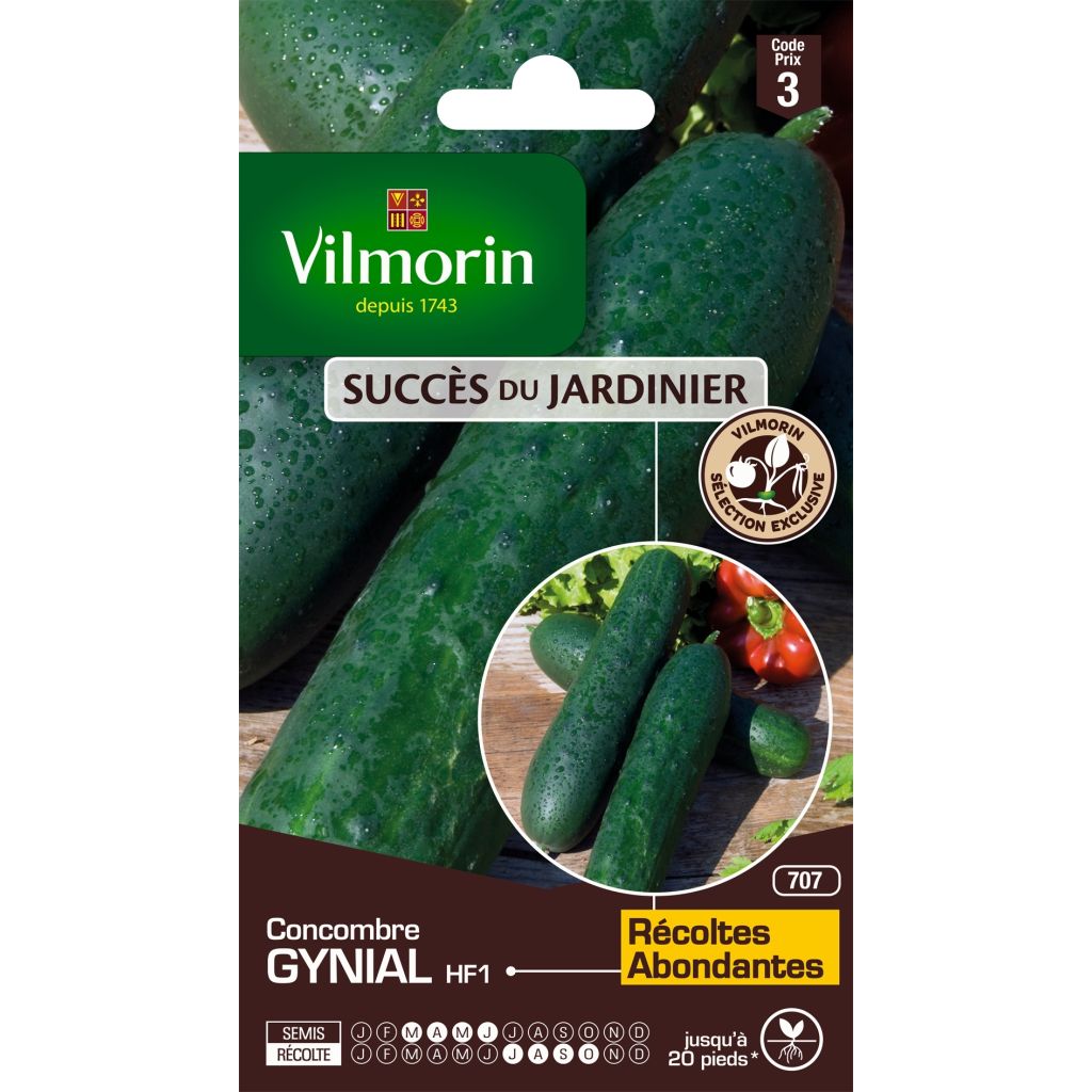 Salat-Gurke Gynial F1 - Vilmorin