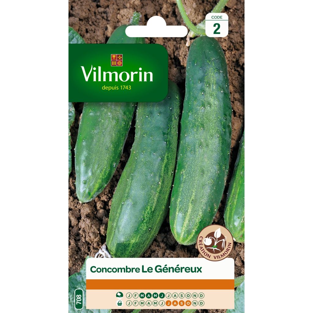Salat-Gurke Le Généreux - Vilmorin