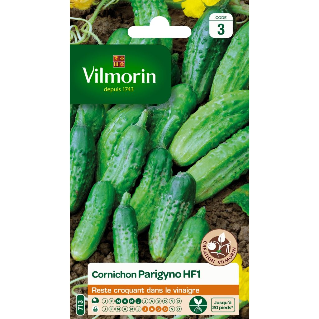 Einlegegurke Parigyno F1 - Vilmorin