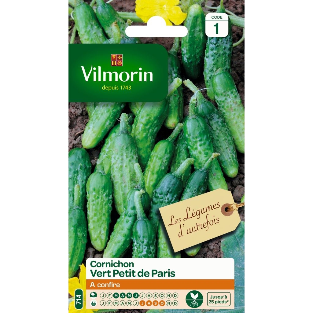 Einlegegurke Vert Petit de Paris - Vilmorin