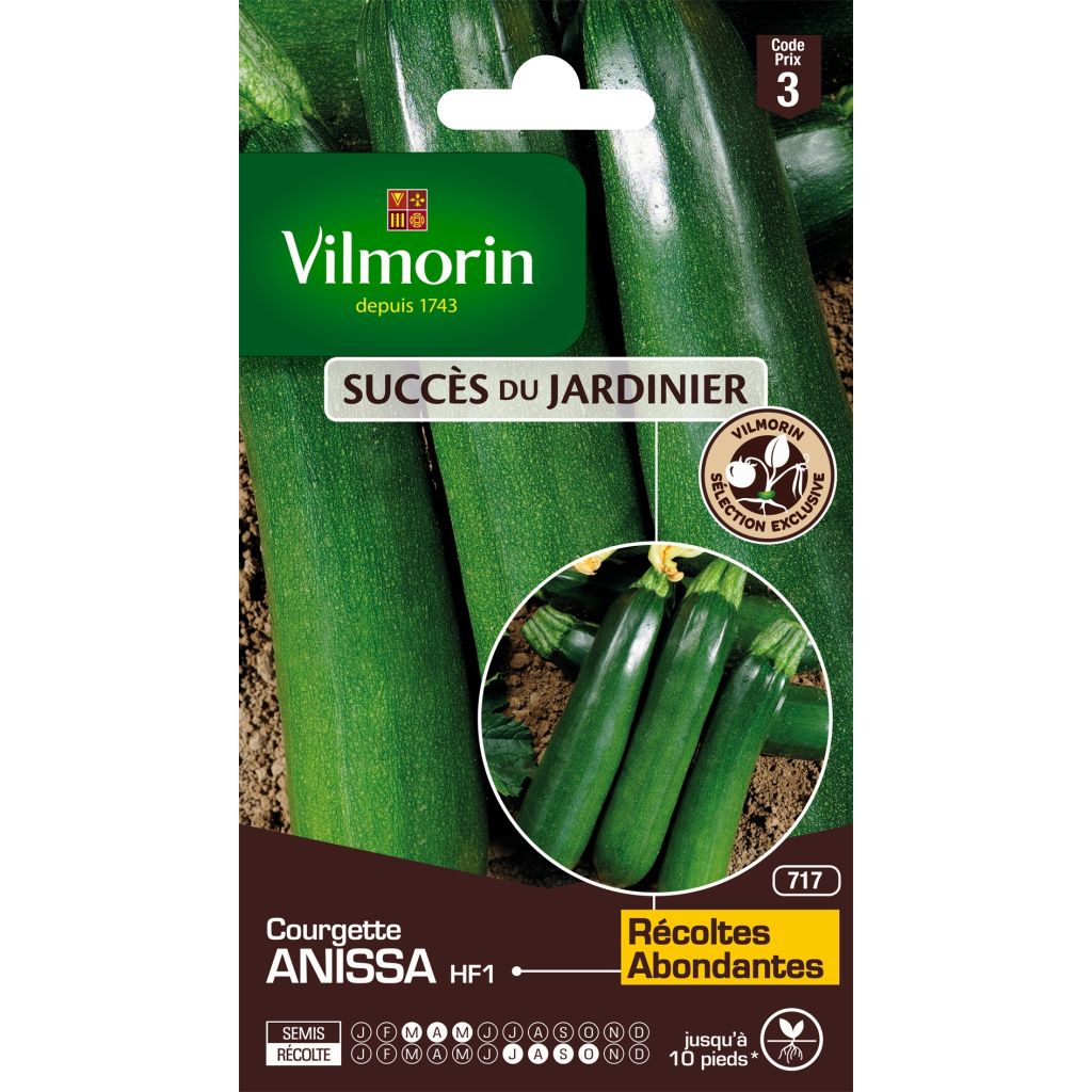 Garten-Kürbis Anissa F1 - Vilmorin