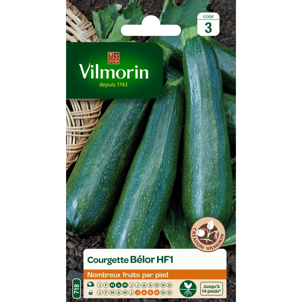 Garten-Kürbis Belor F1 - Vilmorin
