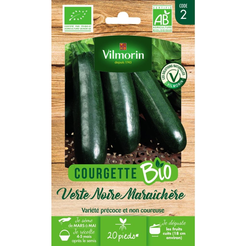 Garten-Kürbis verte noire Bio - Vilmorin