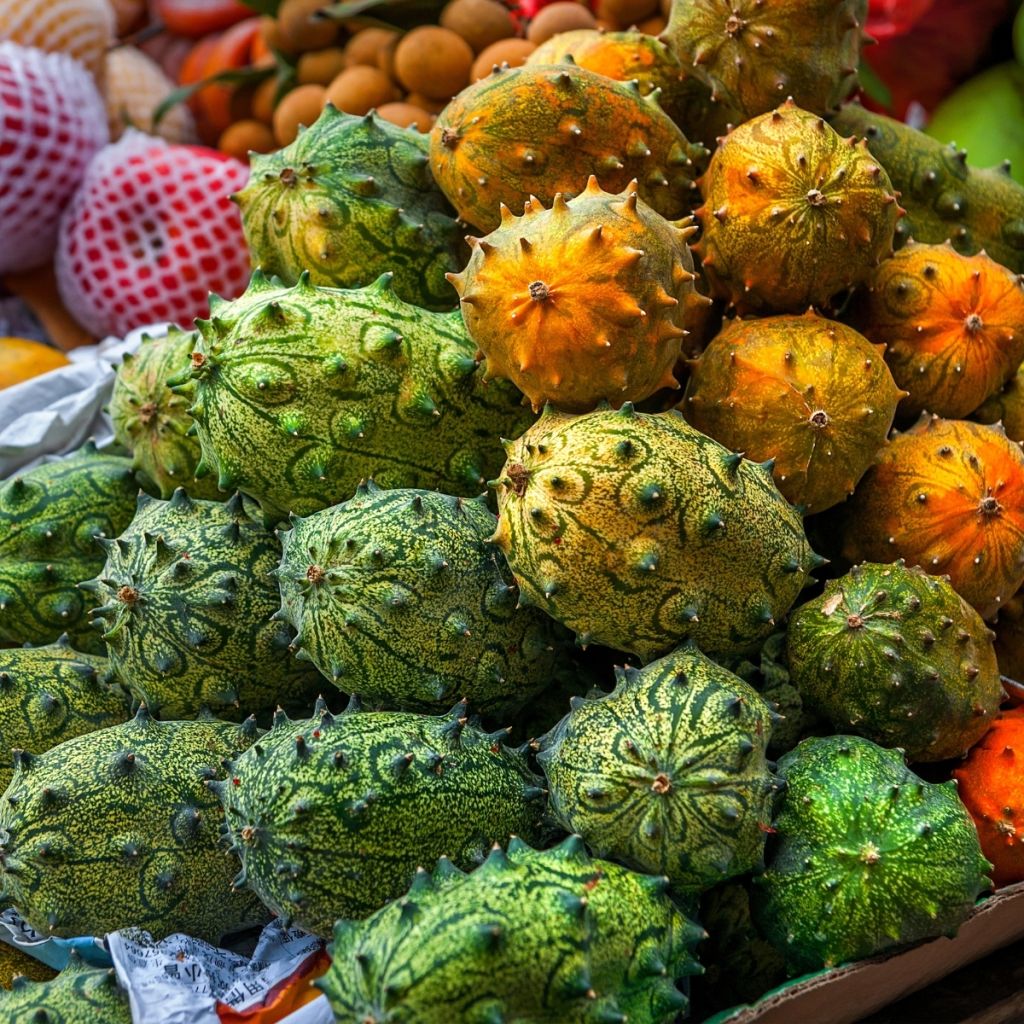 Cucumis metuliferus - Horngurke