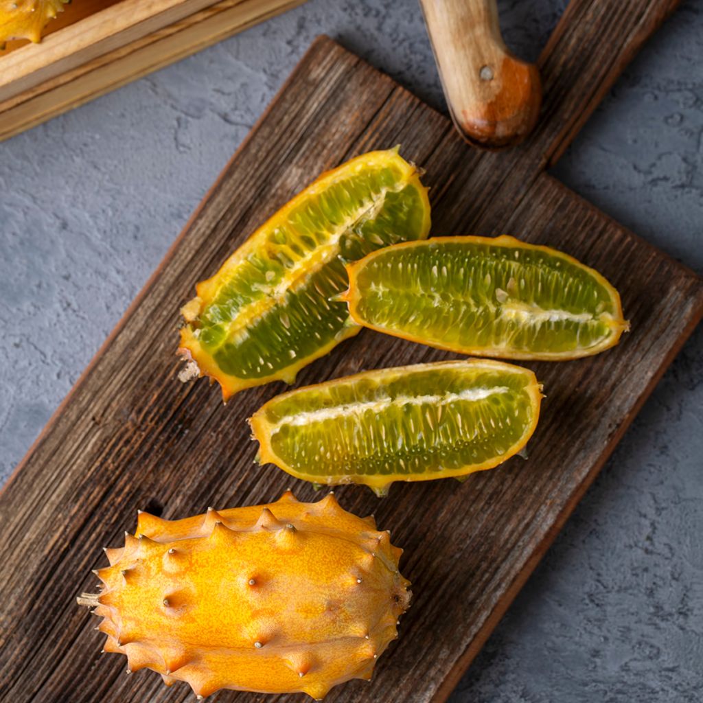 Cucumis metuliferus - Horngurke