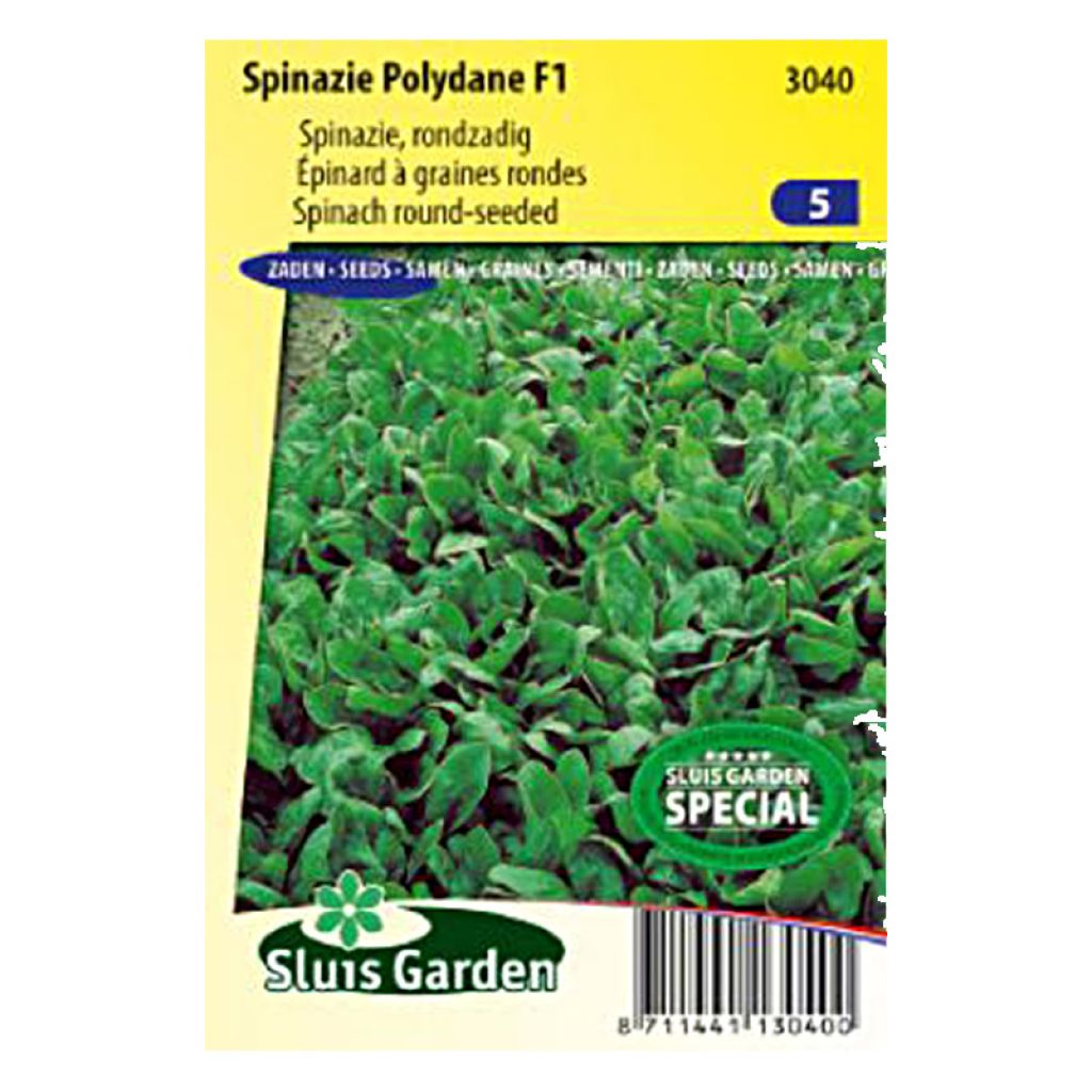 Spinat Polydane F1