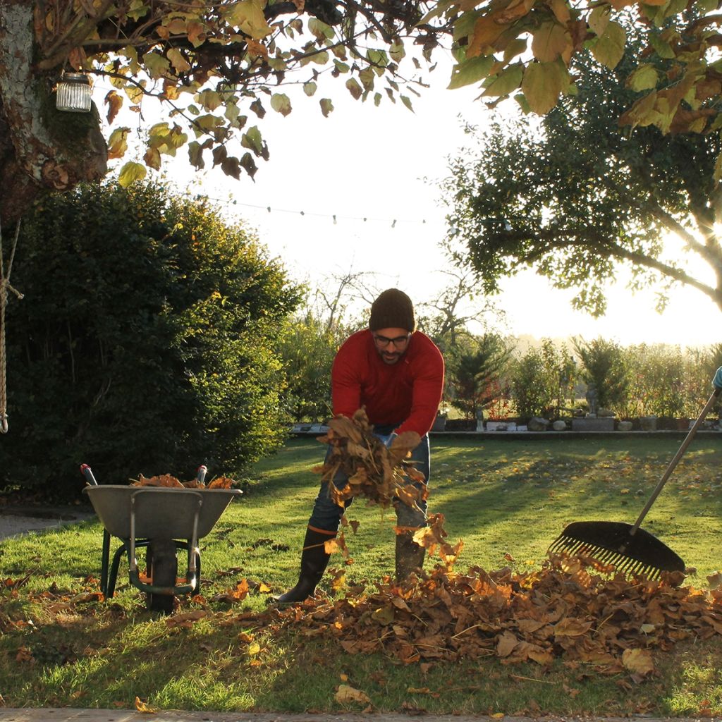 Garten- und Schnitt-Handschuhe von Rostaing mit Lederhandfläche und braunem Zaun