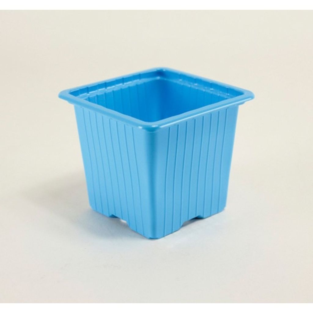 Bunter Becher mit verschiedenen Farben zur Vermehrung - 30 Stück pro Packung