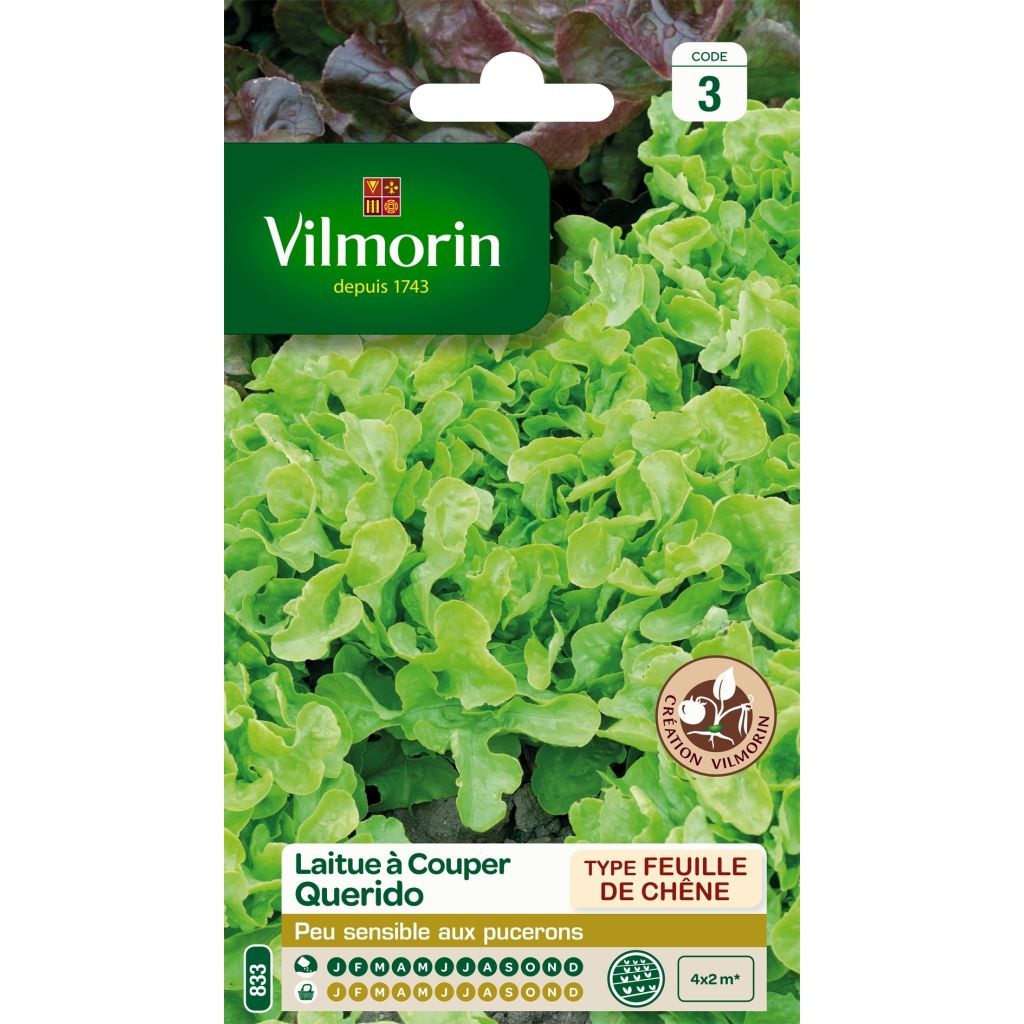 Schnittsalat Querido