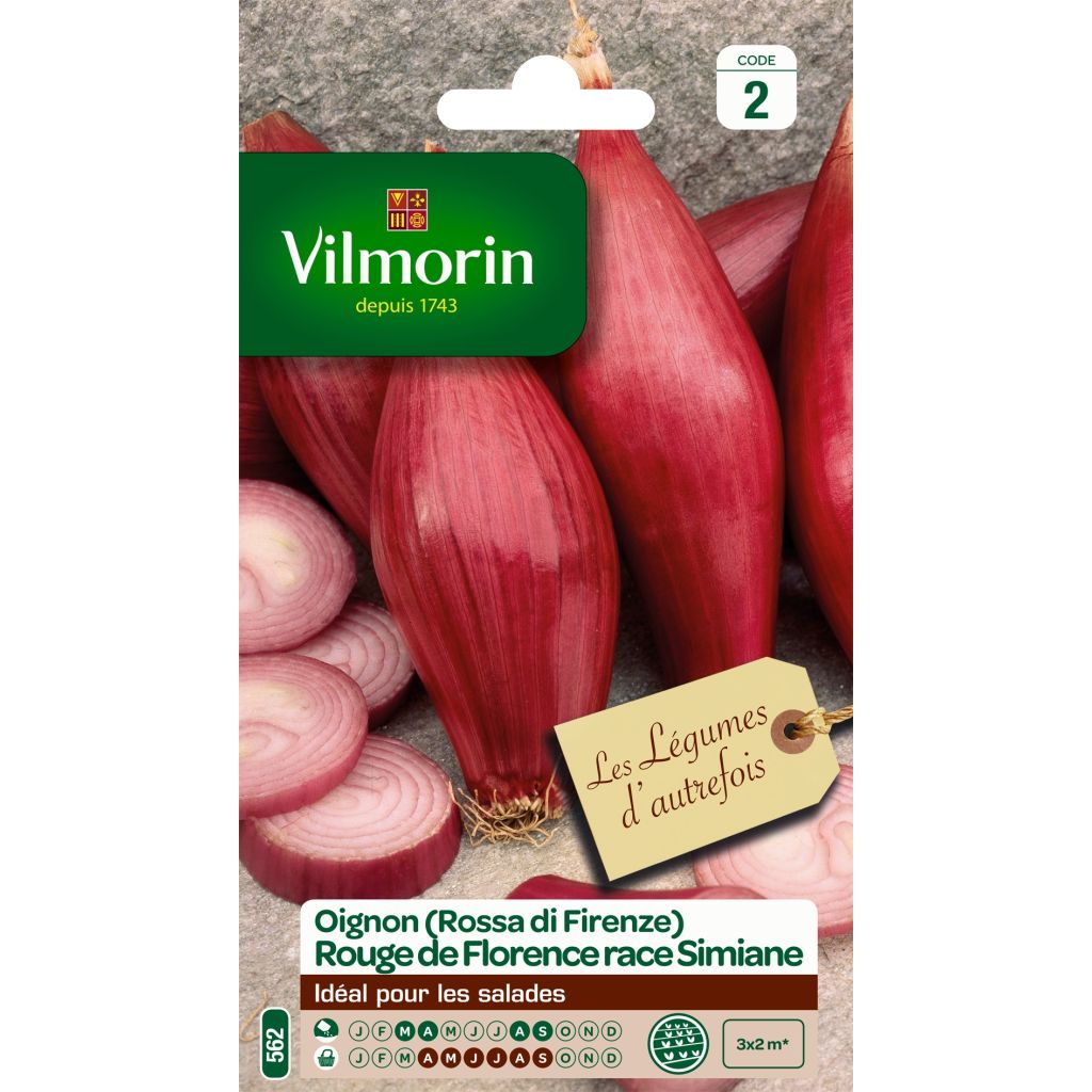 Rote Zwiebel de Florence race de Simiane - Vilmorin