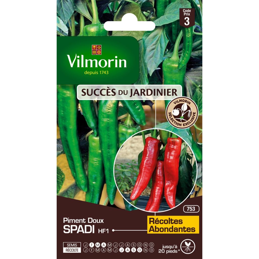 Paprika Spadi F1 - Vilmorin