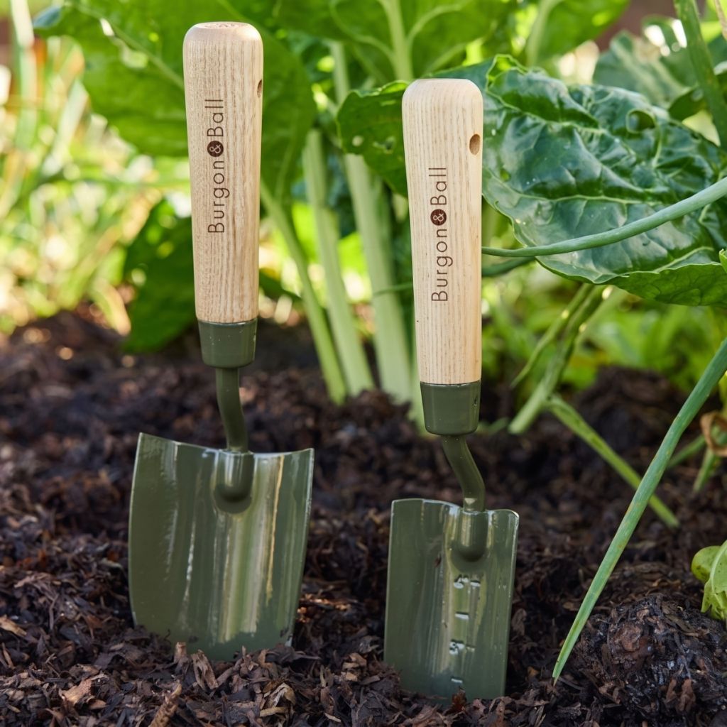 Pflanzer BoronGreen Burgon and Ball - RHS-Serie