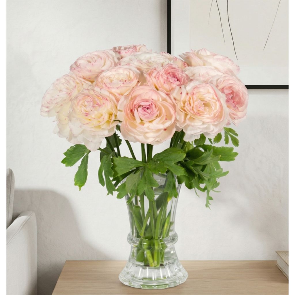 Ranunkel Romance Orleans – Ranunculus asiaticus